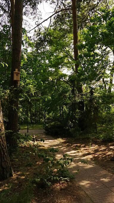 Vila Zacisze Narwi Kikoly Exteriér fotografie